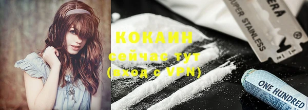 прущие грибы Магадан