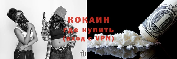 PSILOCYBIN Магас