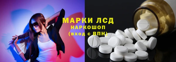 прущие грибы Магадан