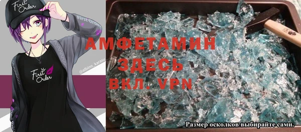 прущие грибы Магадан