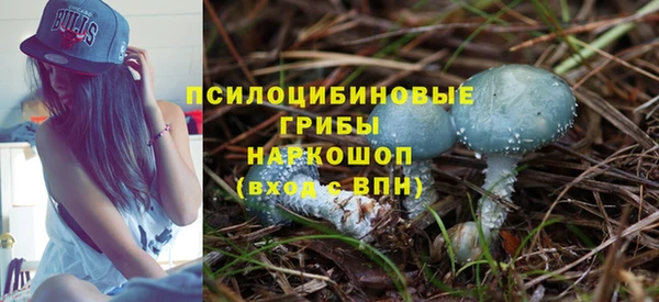 PSILOCYBIN Магас