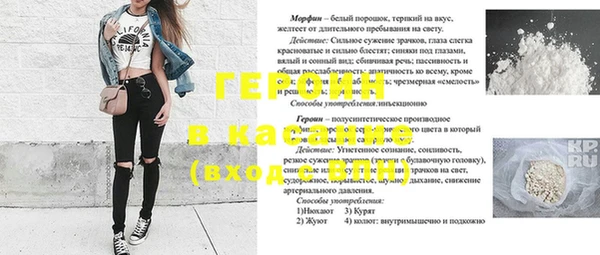 прущие грибы Магадан