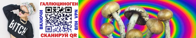 Псилоцибиновые грибы MAGIC MUSHROOMS  kraken сайт  Абакан 